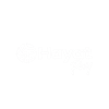 Hayat Pay